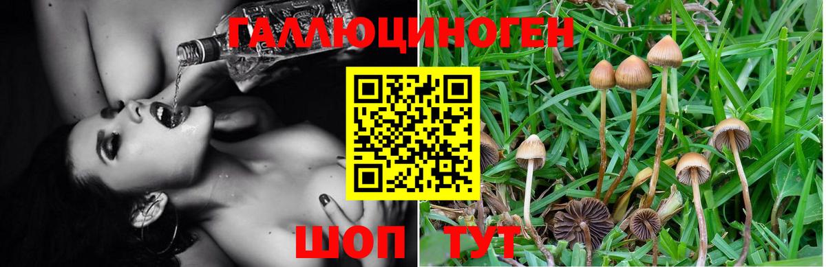 Галлюциногенные грибы Magic Shrooms Сорочинск